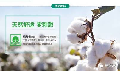 一朵棉花，一個國牌 醫用敷料OEM的國民品牌轉型與資本之路